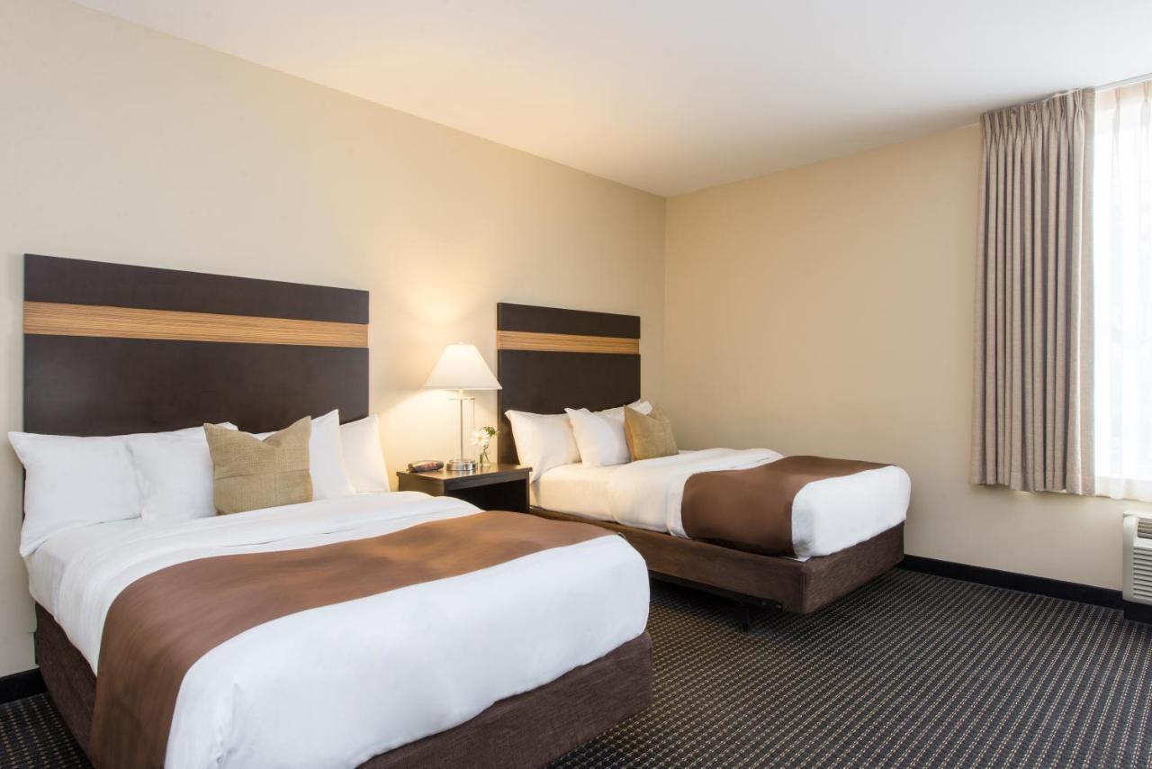The 3* Brunswick
